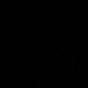 Meet your Posher, Audrey